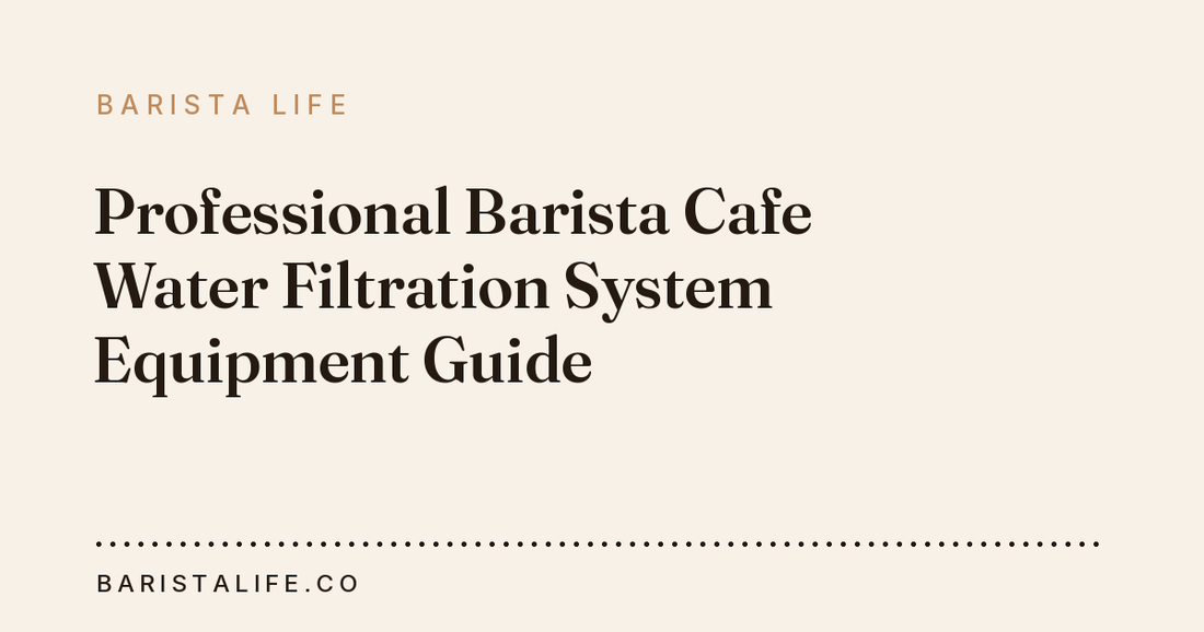 Professional Barista Cafe Water Filtration System Equipment Guide