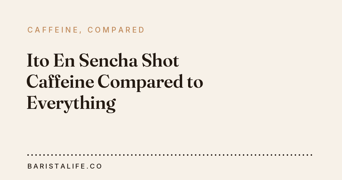 Ito En Sencha Shot Caffeine Compared to Everything
