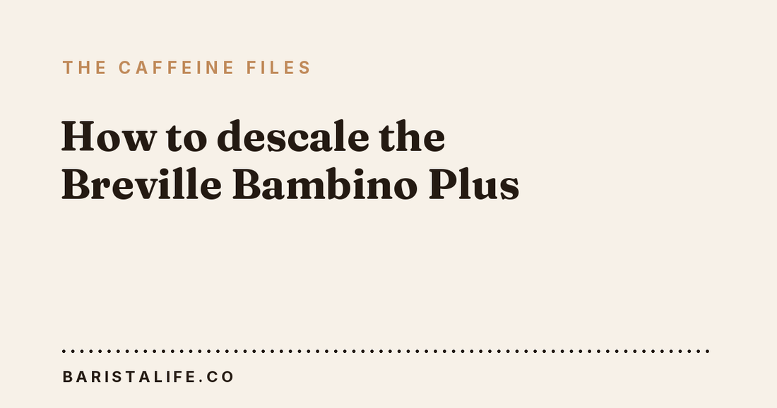 How to descale the Breville Bambino Plus