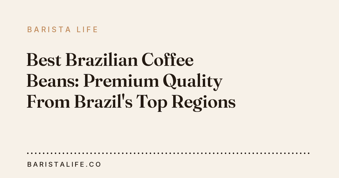 Best Brazilian Coffee Beans: Premium Quality From Brazil's Top Regions