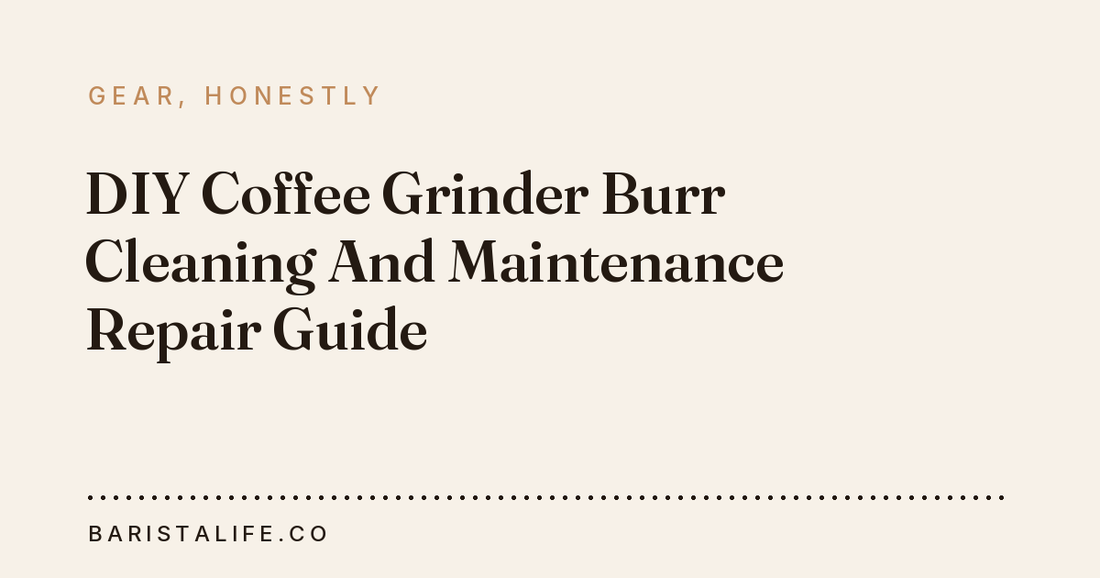 DIY Coffee Grinder Burr Cleaning And Maintenance Repair Guide