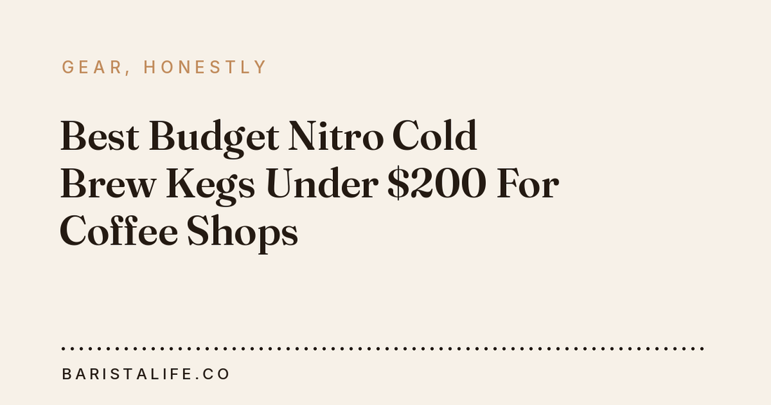 Best Budget Nitro Cold Brew Kegs Under $200 For Coffee Shops