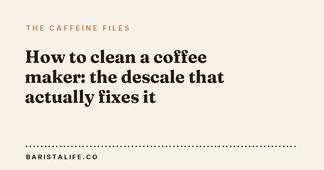 How to clean a coffee maker: the descale that actually fixes it