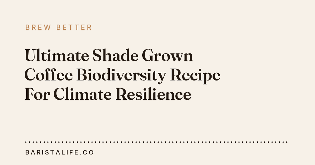 Ultimate Shade Grown Coffee Biodiversity Recipe For Climate Resilience