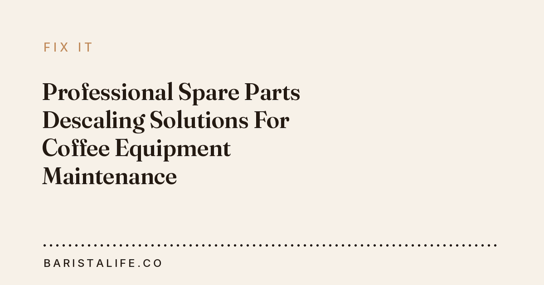 Professional Spare Parts Descaling Solutions For Coffee Equipment Maintenance