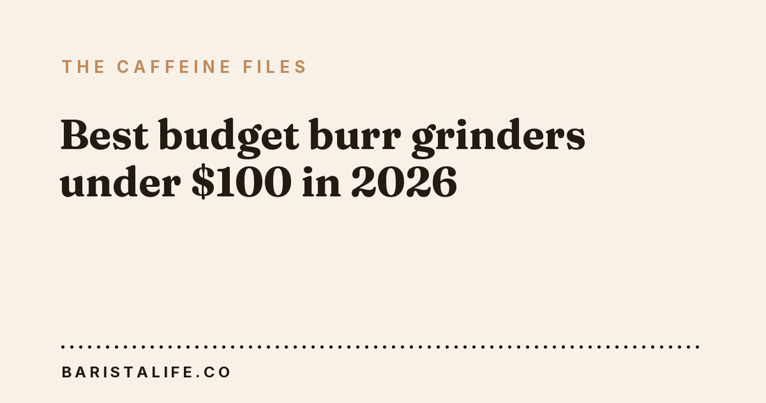 Best budget burr grinders under $100 in 2026