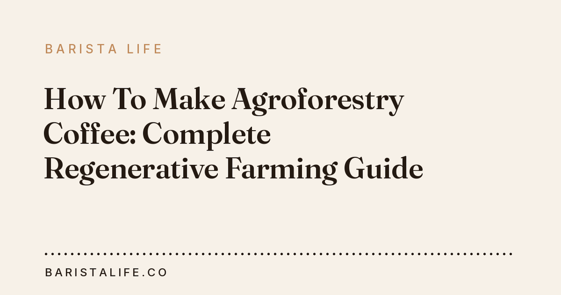 How To Make Agroforestry Coffee: Complete Regenerative Farming Guide