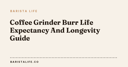 Coffee Grinder Burr Life Expectancy And Longevity Guide