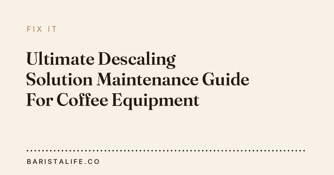 Ultimate Descaling Solution Maintenance Guide For Coffee Equipment