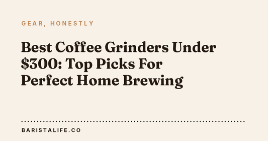 Best Coffee Grinders Under $300: Top Picks For Perfect Home Brewing