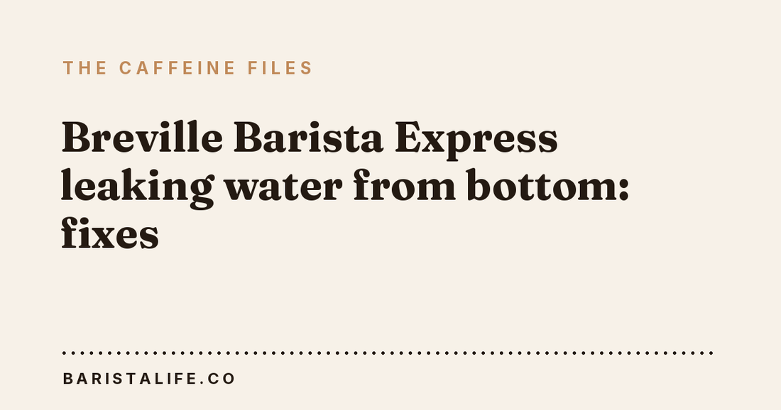 Breville Barista Express leaking water from bottom: fixes