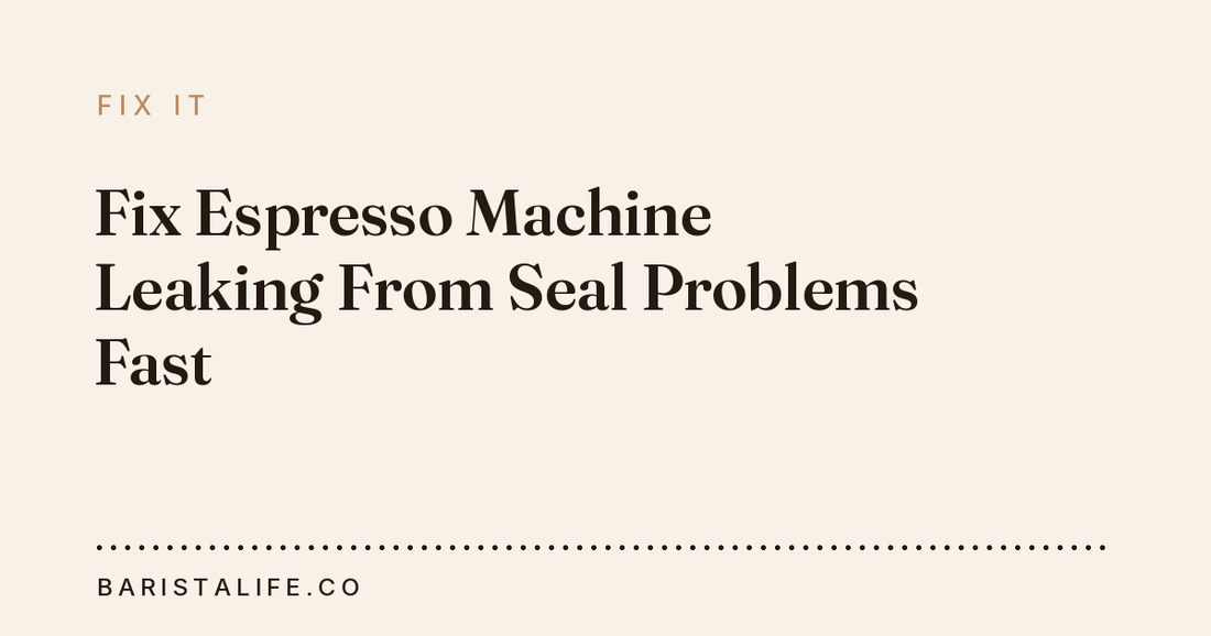 Fix Espresso Machine Leaking From Seal Problems Fast