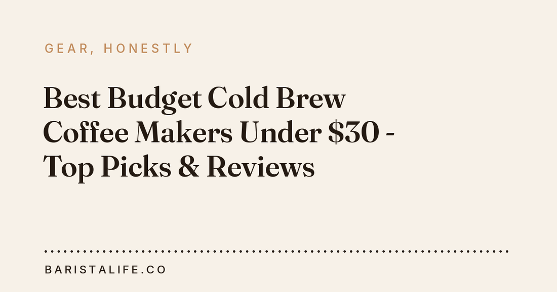 Best Budget Cold Brew Coffee Makers Under $30 - Top Picks & Reviews