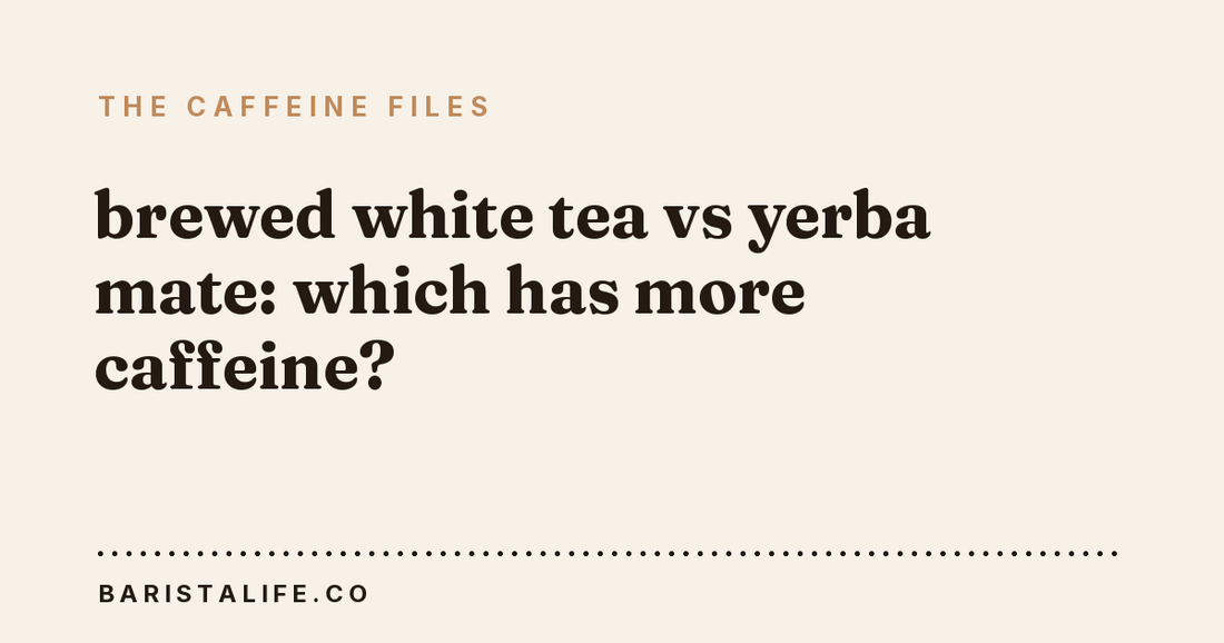 brewed white tea vs yerba mate: which has more caffeine?