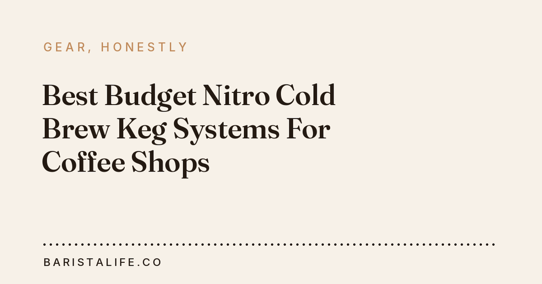 Best Budget Nitro Cold Brew Keg Systems For Coffee Shops