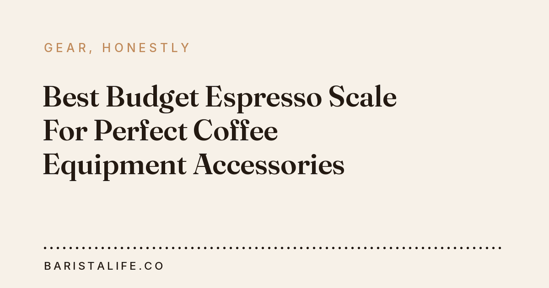 Best Budget Espresso Scale For Perfect Coffee Equipment Accessories