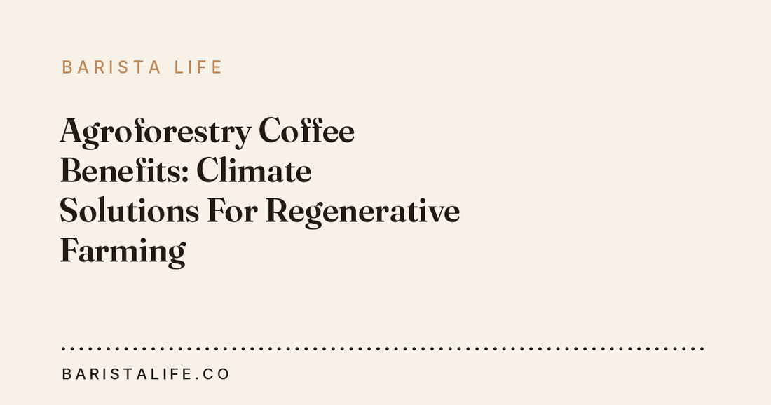 Agroforestry Coffee Benefits: Climate Solutions For Regenerative Farming