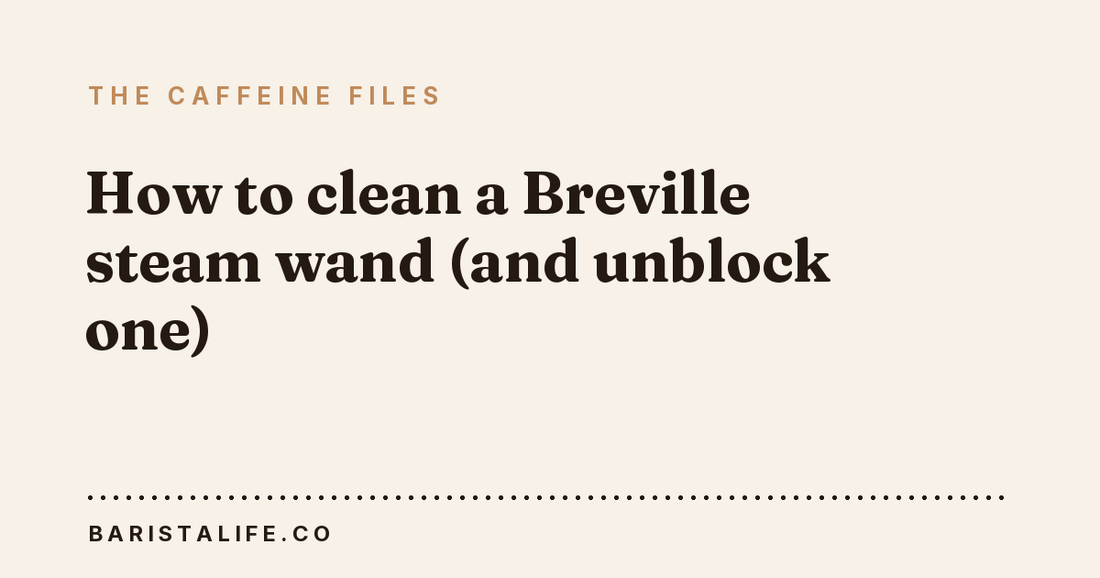 How to clean a Breville steam wand (and unblock one)