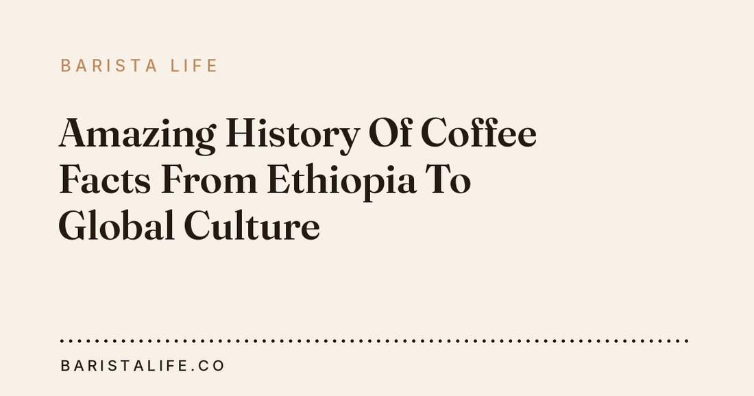 Amazing History Of Coffee Facts From Ethiopia To Global Culture