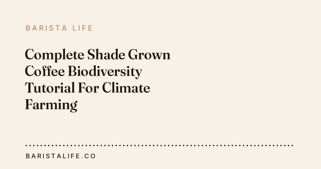 Complete Shade Grown Coffee Biodiversity Tutorial For Climate Farming