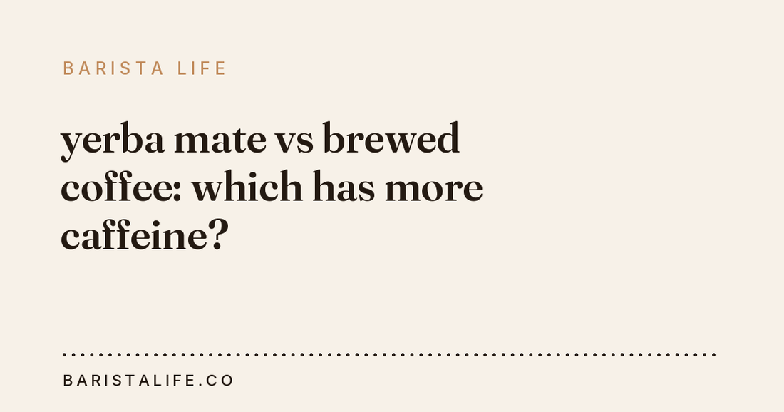 yerba mate vs brewed coffee: which has more caffeine?