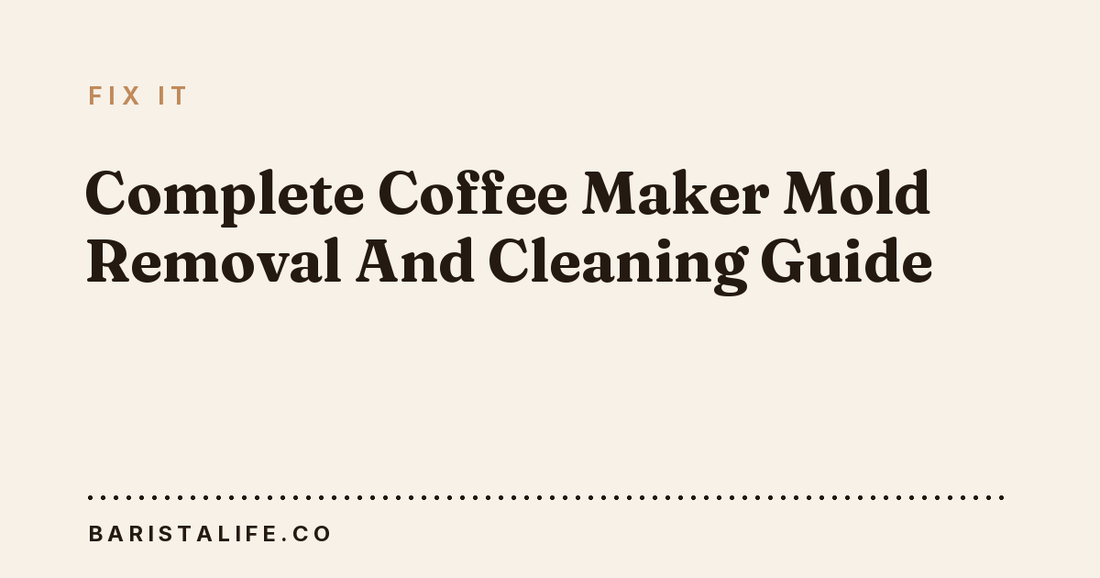 Complete Coffee Maker Mold Removal And Cleaning Guide