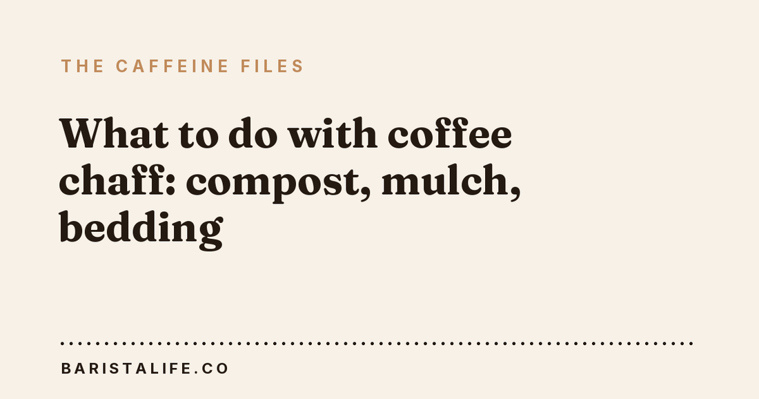 What to do with coffee chaff: compost, mulch, bedding