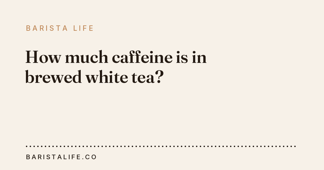 How much caffeine is in brewed white tea?
