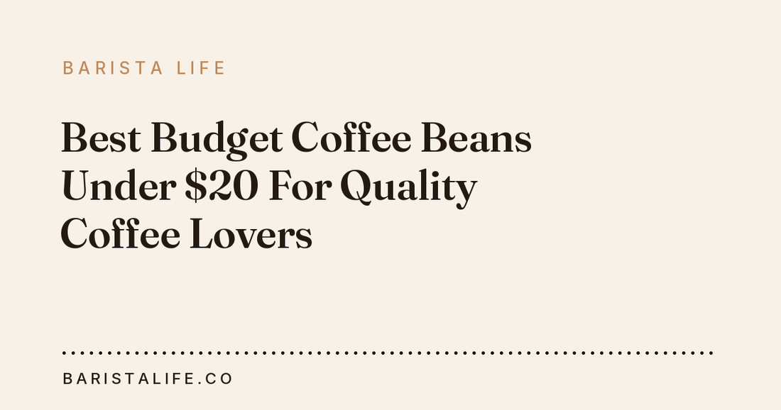 Best Budget Coffee Beans Under $20 For Quality Coffee Lovers
