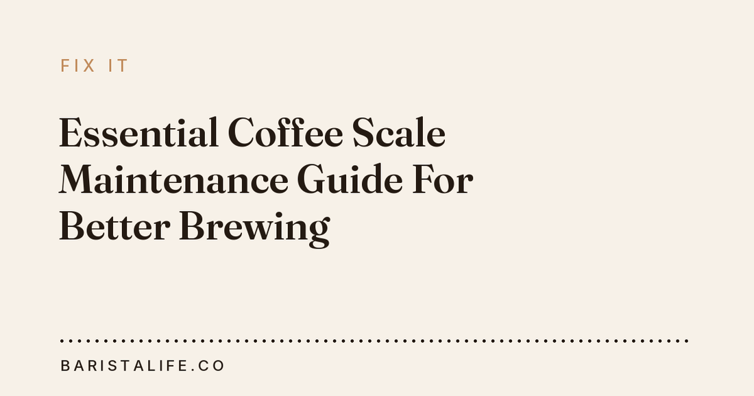 Essential Coffee Scale Maintenance Guide For Better Brewing