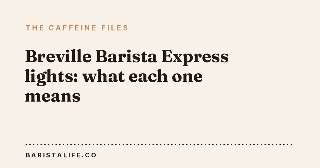 Breville Barista Express lights: what each one means