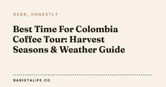 Best Time For Colombia Coffee Tour: Harvest Seasons & Weather Guide
