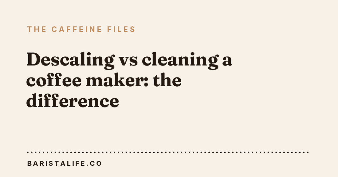 Descaling vs cleaning a coffee maker: the difference