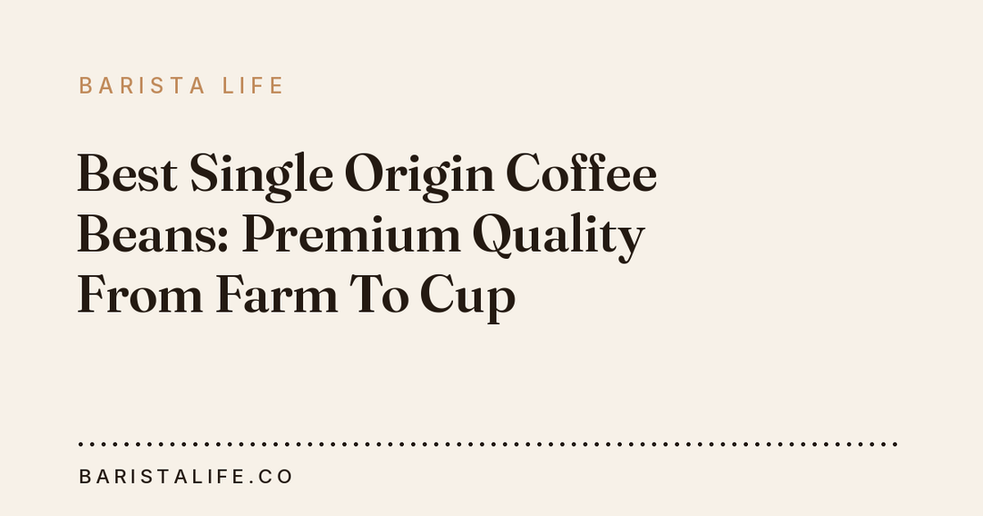Best Single Origin Coffee Beans: Premium Quality From Farm To Cup