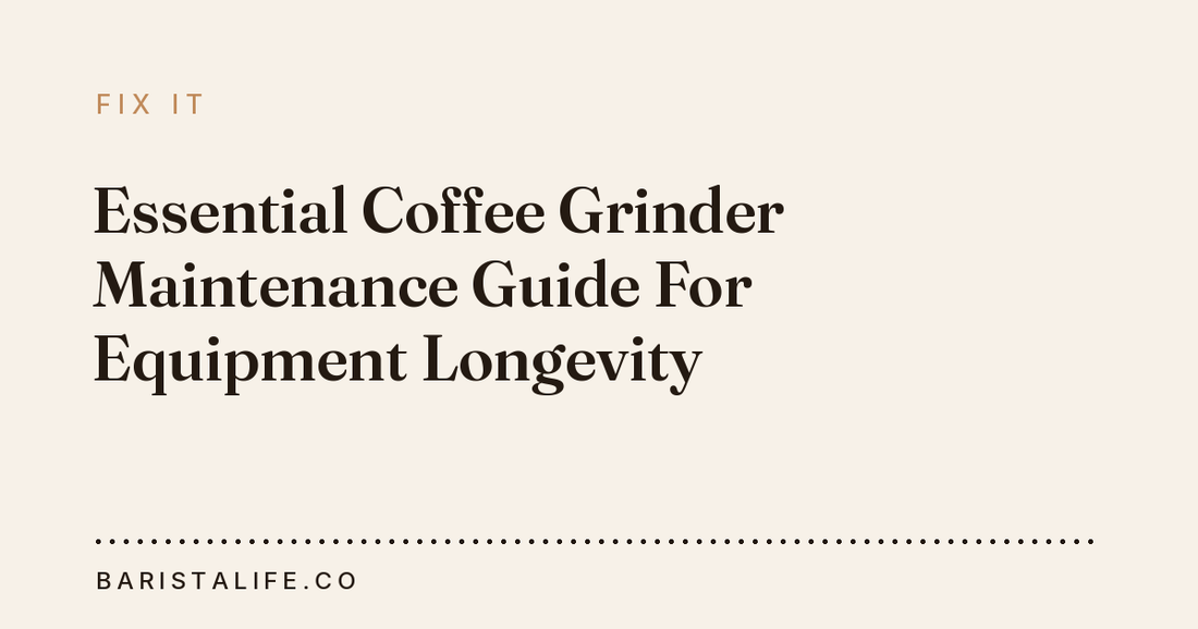 Essential Coffee Grinder Maintenance Guide For Equipment Longevity