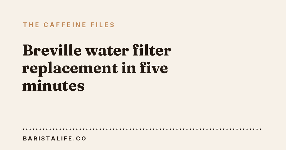Breville water filter replacement in five minutes