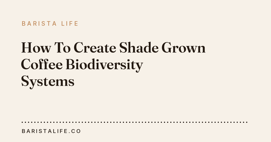 How To Create Shade Grown Coffee Biodiversity Systems