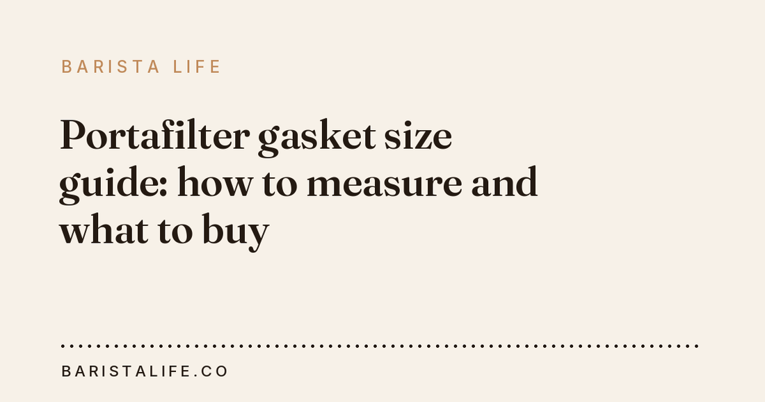 Portafilter gasket size guide: how to measure and what to buy
