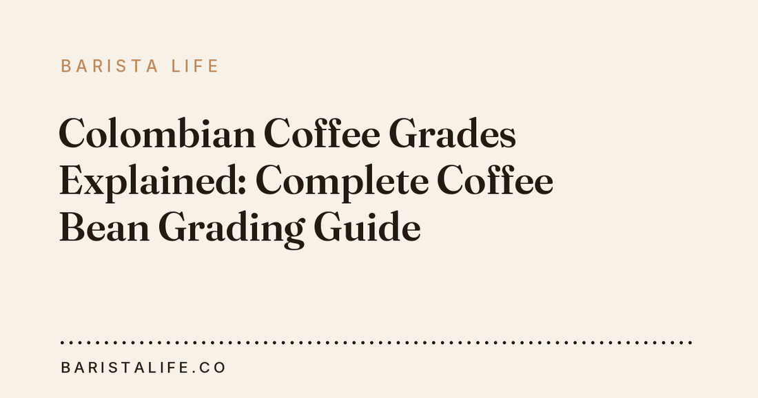 Colombian Coffee Grades Explained: Complete Coffee Bean Grading Guide
