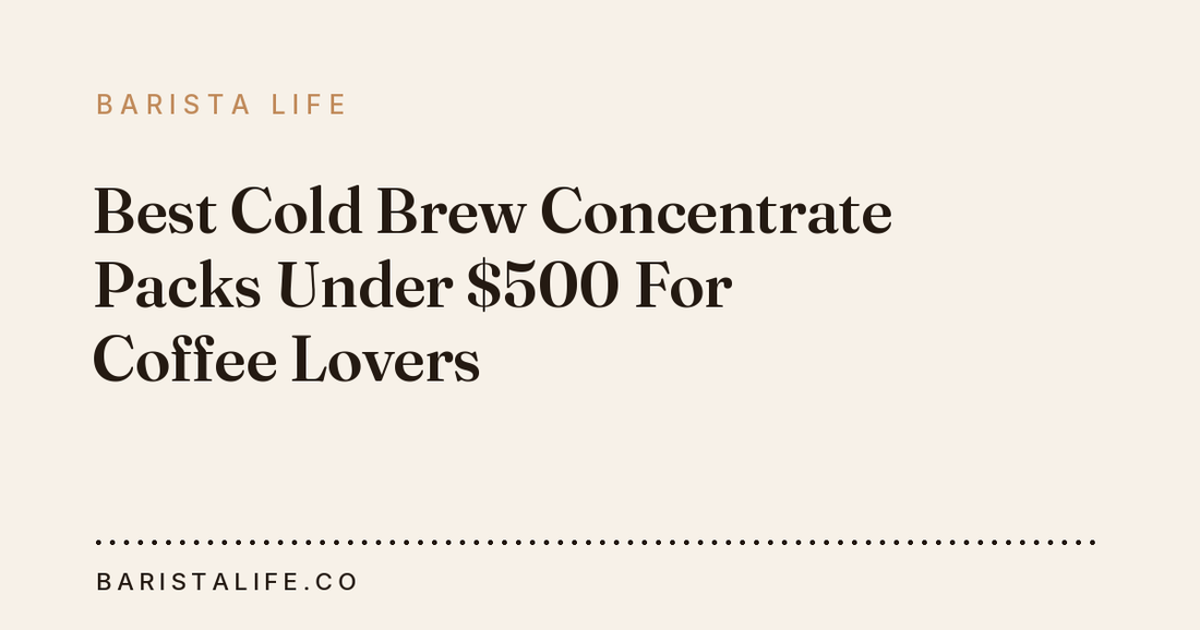 Best Cold Brew Concentrate Packs Under $500 For Coffee Lovers
