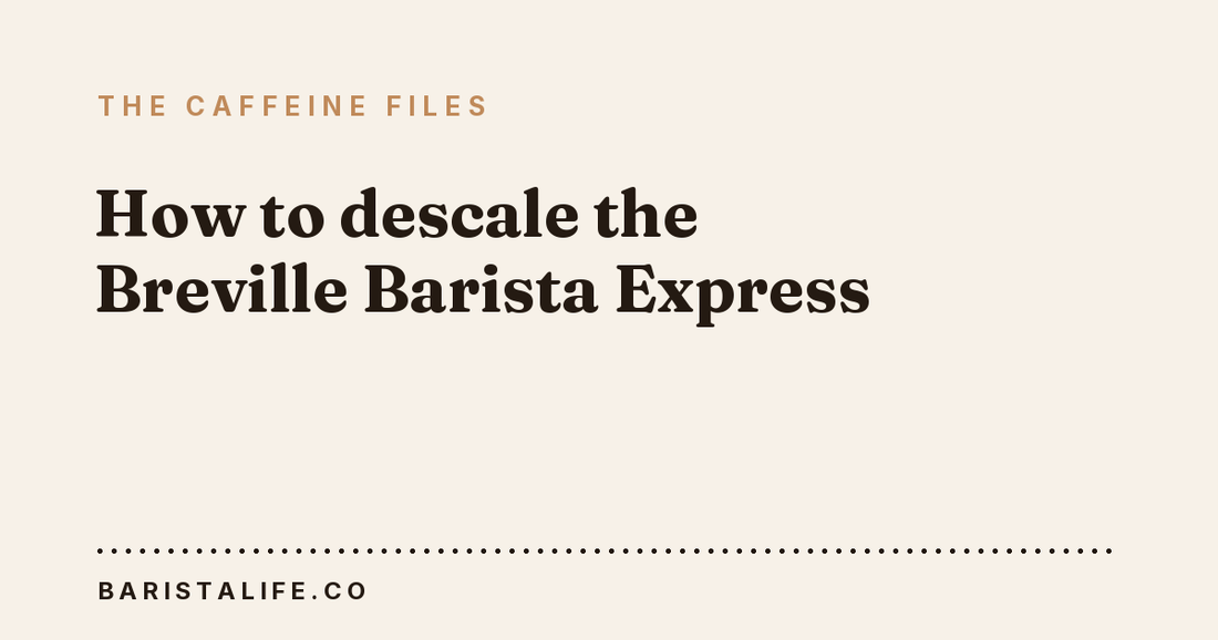 How to descale the Breville Barista Express