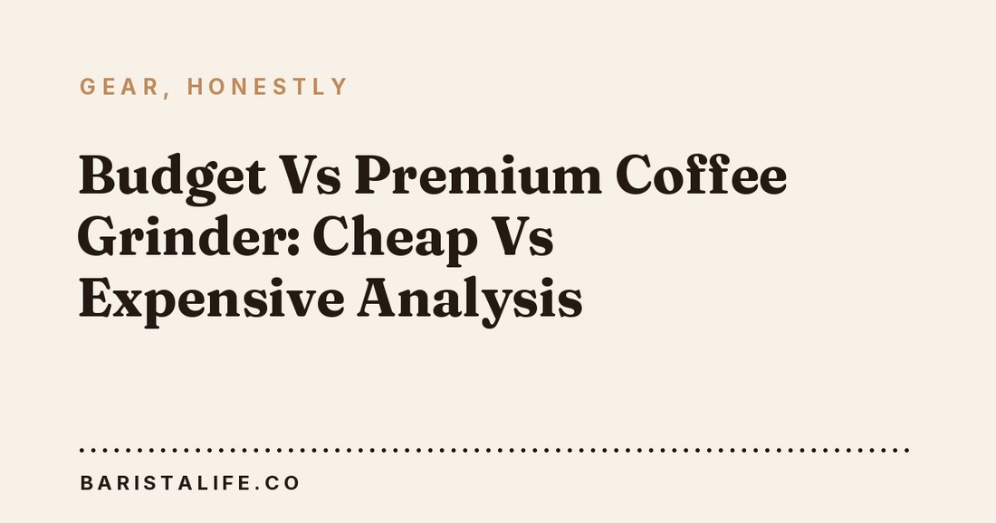 Budget Vs Premium Coffee Grinder: Cheap Vs Expensive Analysis