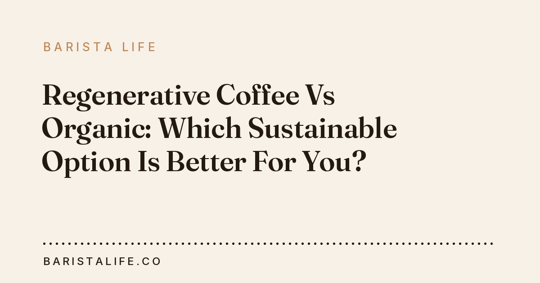 Regenerative Coffee Vs Organic: Which Sustainable Option Is Better For You?