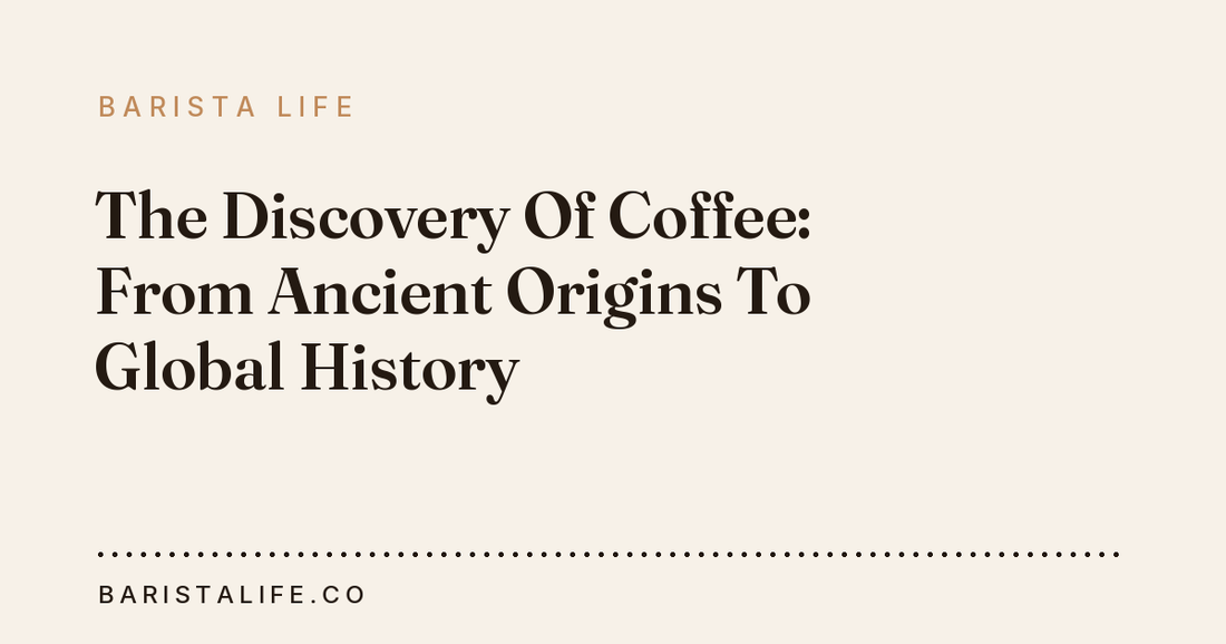 The Discovery Of Coffee: From Ancient Origins To Global History