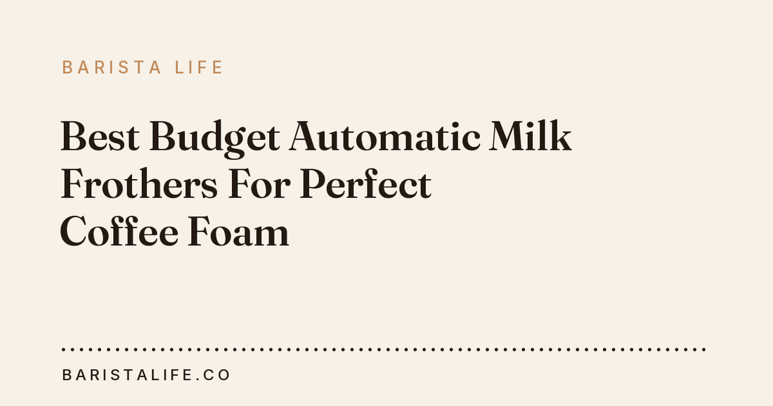 Best Budget Automatic Milk Frothers For Perfect Coffee Foam