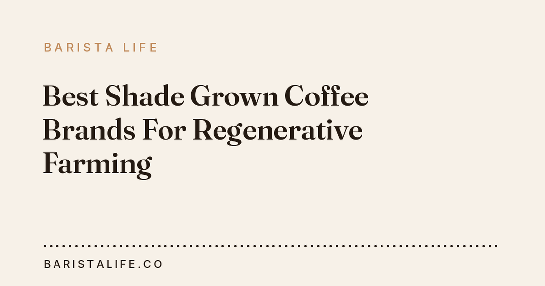 Best Shade Grown Coffee Brands For Regenerative Farming