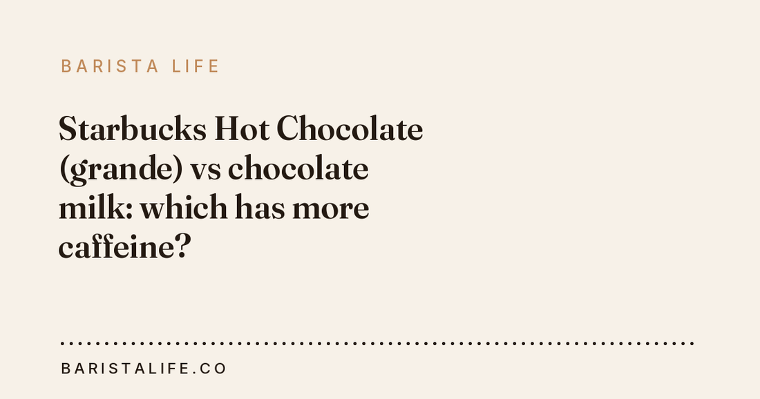 Starbucks Hot Chocolate (grande) vs chocolate milk: which has more caffeine?