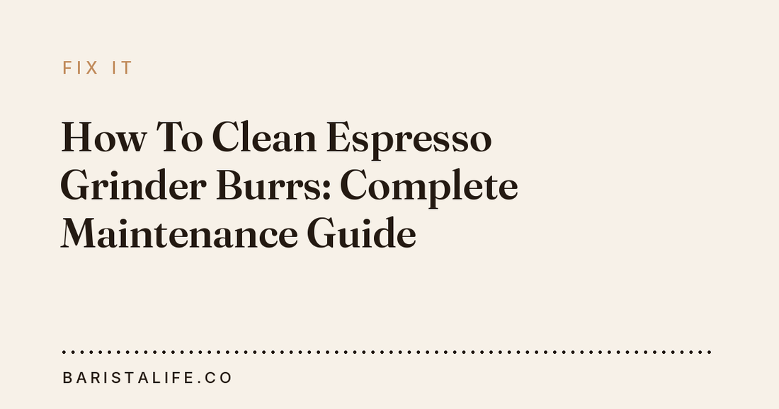How To Clean Espresso Grinder Burrs: Complete Maintenance Guide