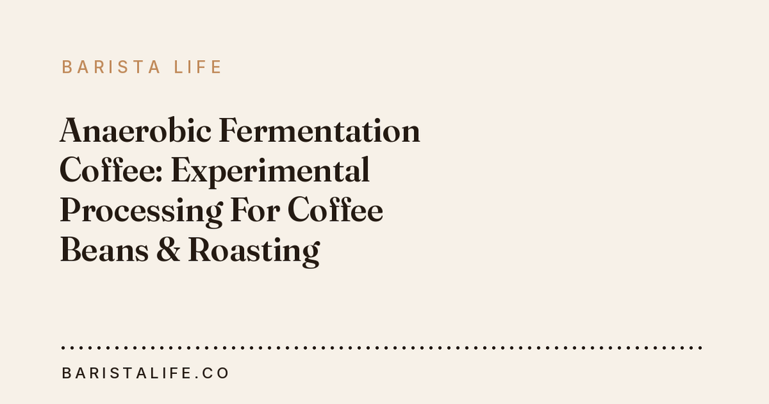 Anaerobic Fermentation Coffee: Experimental Processing For Coffee Beans & Roasting