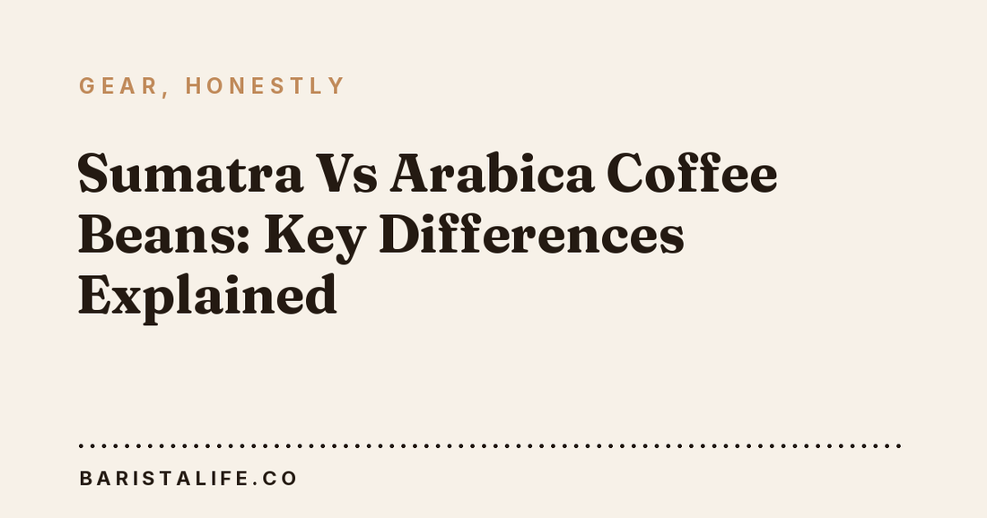 Sumatra Vs Arabica Coffee Beans: Key Differences Explained